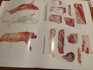 Tecnología e higiene de la carne