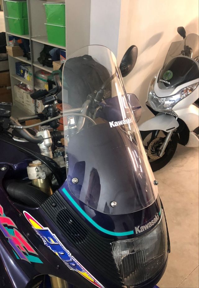 Kawasaki KLE pantalla