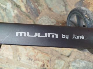 Silla  jané muum matrix