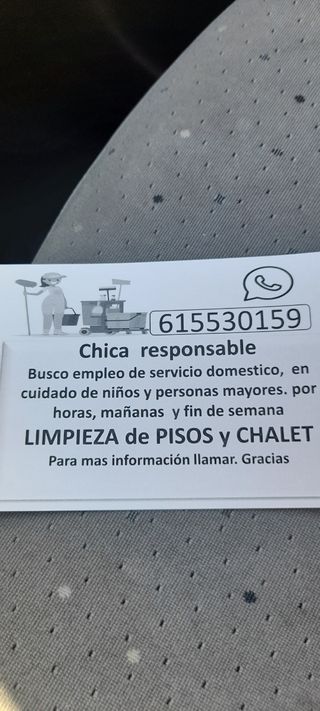 Servicio de limpieza