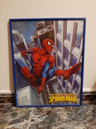 Cuadro Spiderman