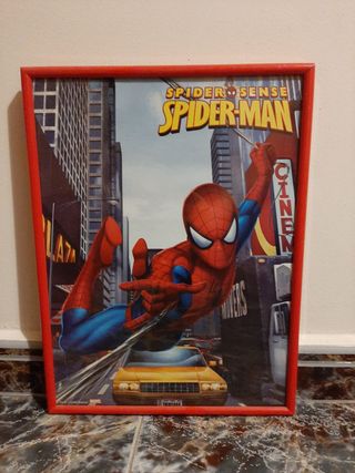 Cuadro Spiderman