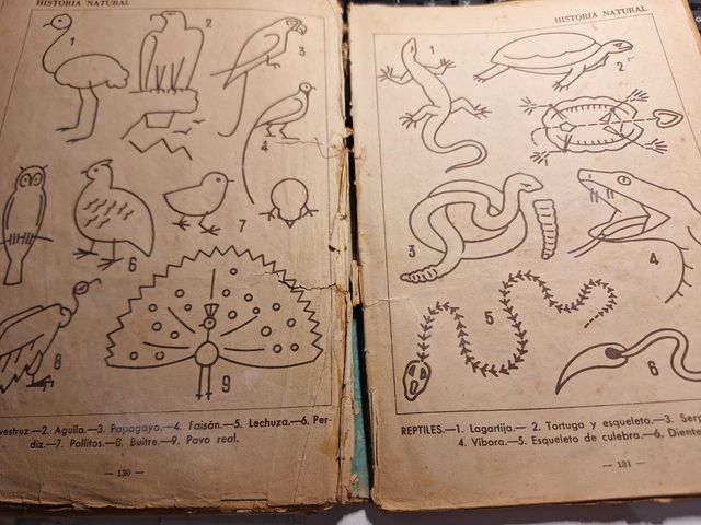 Libro antiguo. Año 73