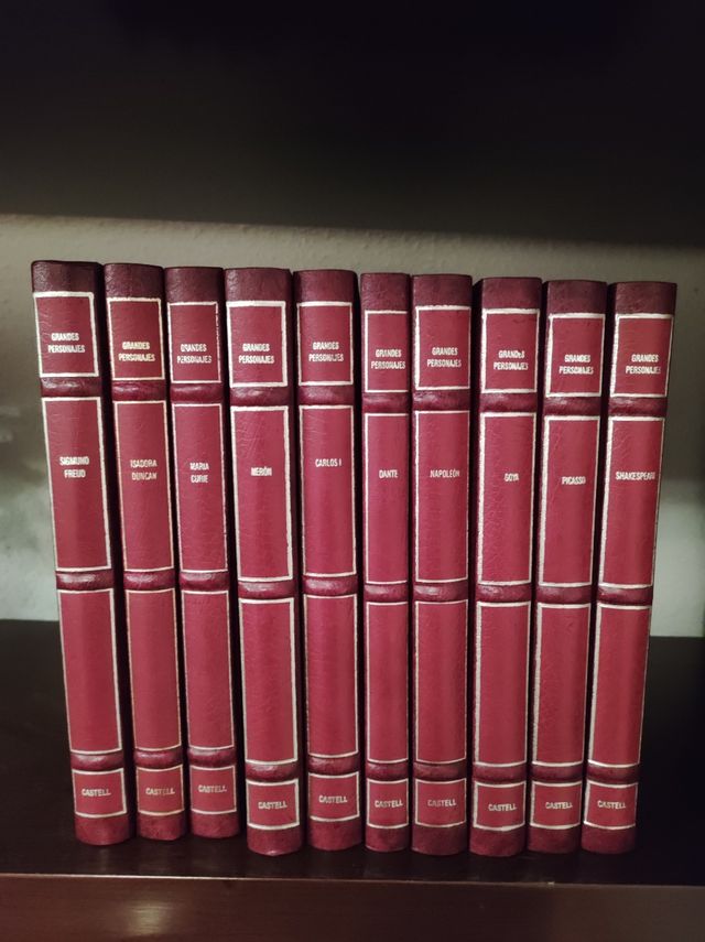 Colección libros grandes personajes