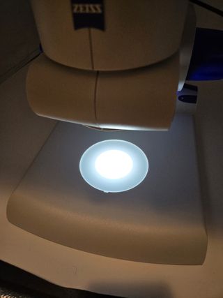 Microscopio profesional ZEISS DV4 LED