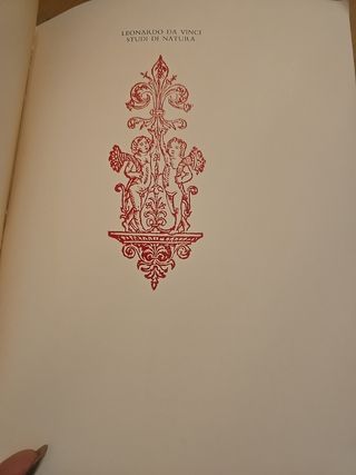Da Vinci, Studi Di Natura Windsor