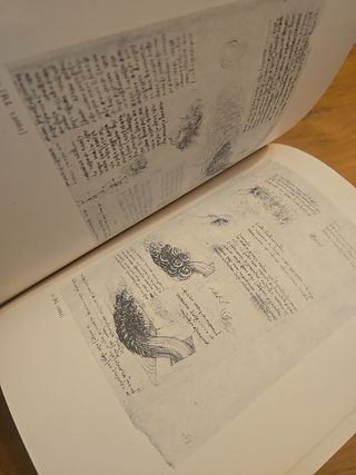 Da Vinci, Studi Di Natura Windsor