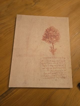 Da Vinci, Studi Di Natura Windsor