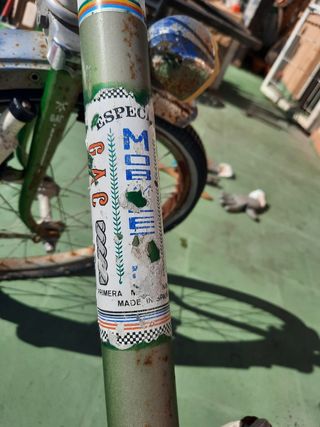 Bicicleta GAC Mobylette Especial