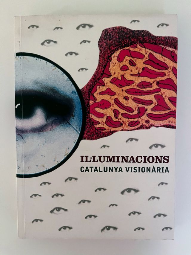 Illuminacions Catalunya visionària