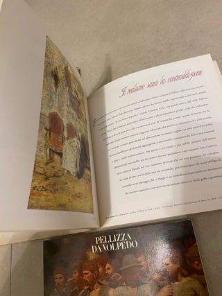 Libri arte vari Pellizza da Volpedo