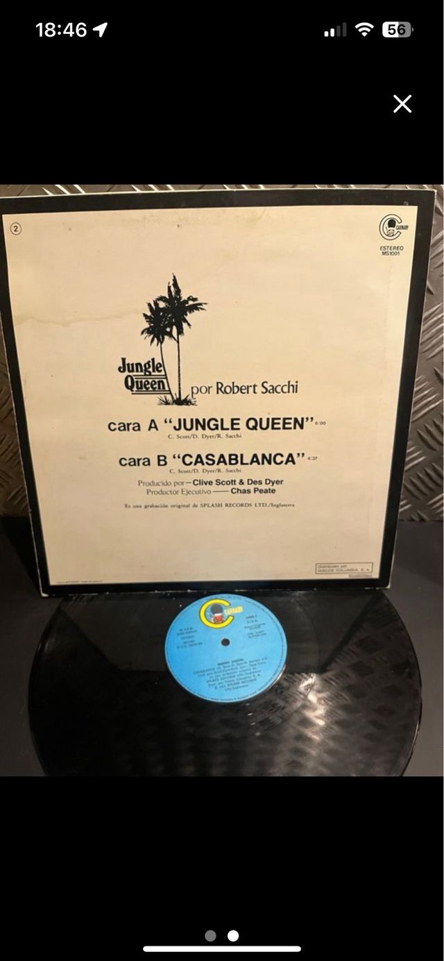 Vinilo de Robert Sacci (4x3)