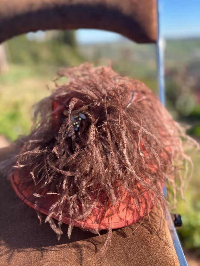 Cappello vintage con piume