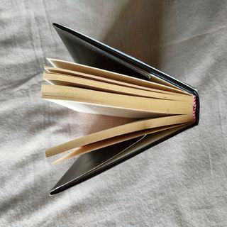 La ragazza del treno