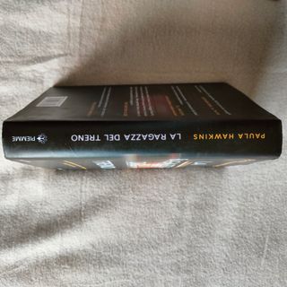 La ragazza del treno