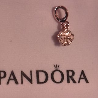 Charm regalo rose con lazo rosa 