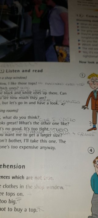 Reflex Italian Snapshot student's book