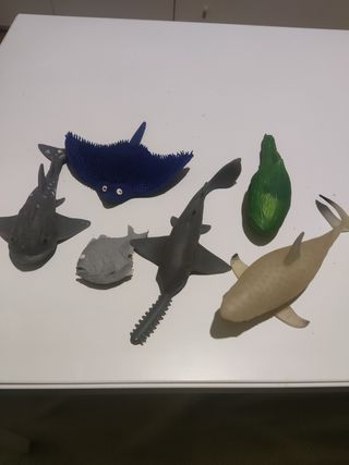 Collezione pesci di gomma