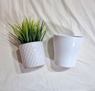 Lote Plantas (IKEA)