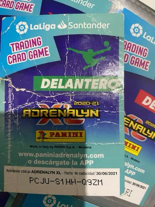 Album Adrenalyn 2020 2021