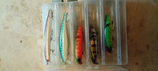 Pesca 