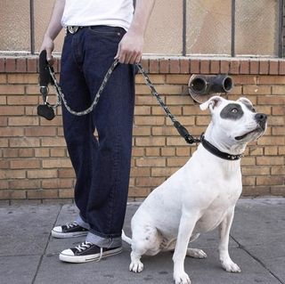 GUINZAGLIO PER CANI DI GRANDE RIFLETTENTE 3 Metri