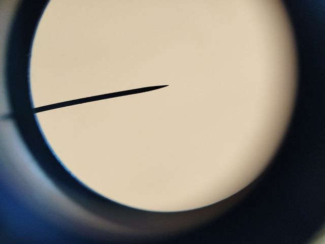 Ocular microscopio WF15X 22mm