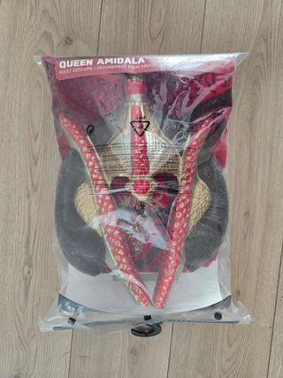 Disfraz Reina Amidala