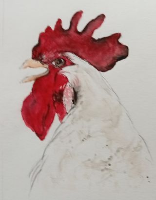 Acuarelas originales. Arte. Regalos.