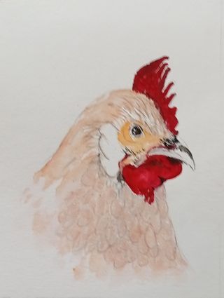 Acuarelas originales. Arte. Regalos.