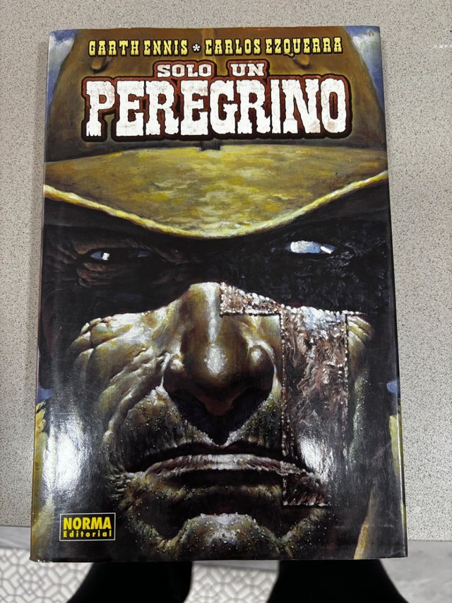 SOLO UN PEREGRINO (CÓMIC USA) (Spanish Edition)