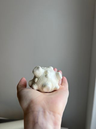 Pots for hanging tillandsias