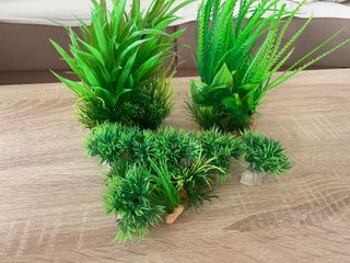 accesorios de pecera