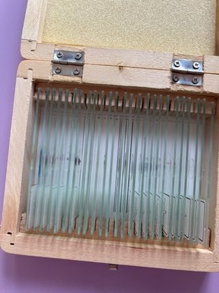 25 Muestras para microscopio