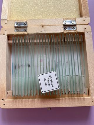 25 Muestras para microscopio