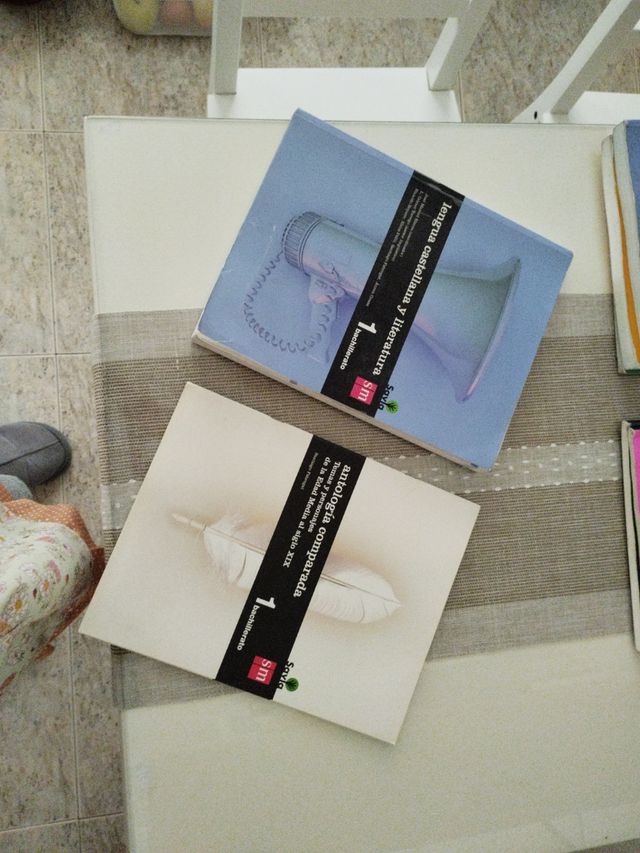 Lengua castellana y literatura. 1 Bachillerato. Savia (Spanish Edition)