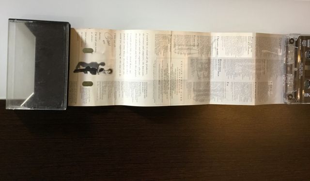 CASSETTE - CELINE DION - FALLING INTO YOU