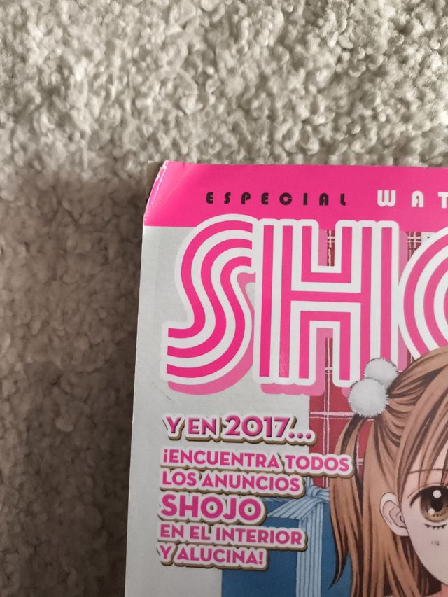 Revista Shôjo Especial Wataru Yoshizumi