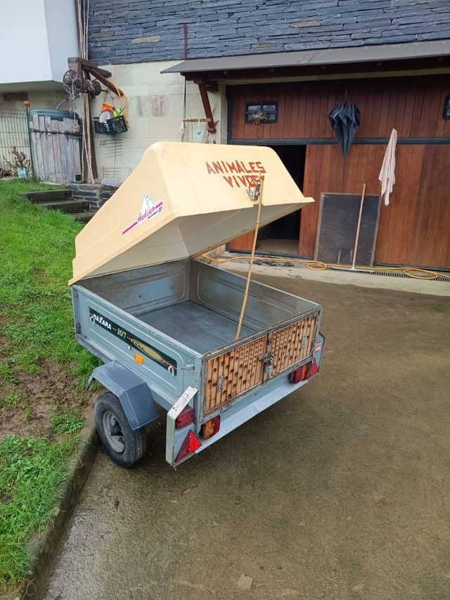 Remolque perro DAXARA