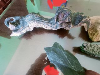 Acuario Ascesorios