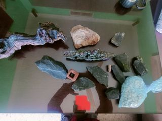 Acuario Ascesorios