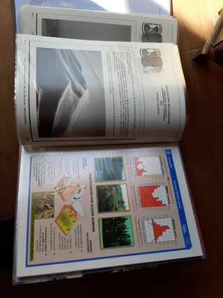 Transparencias didácticas