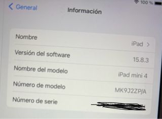 Ipad Mini 4 Apple wifi