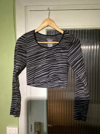 Top zebra