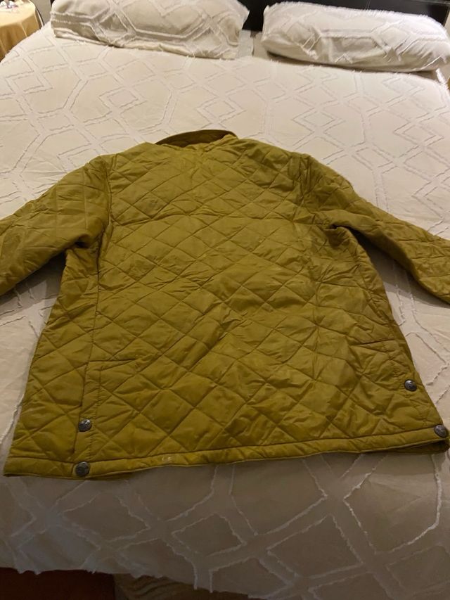 Chaqueta campera inglesa