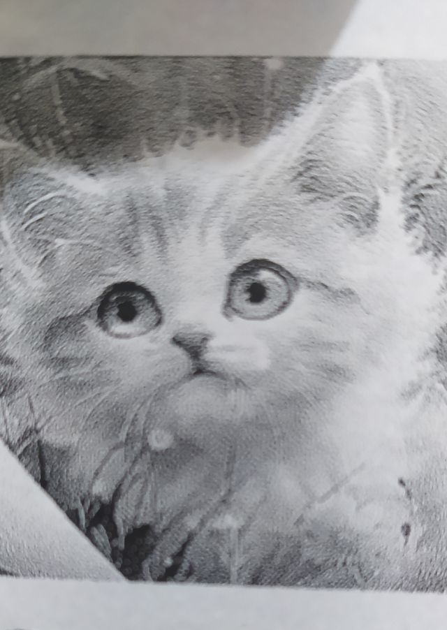 Stampante termica bluetooth