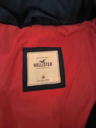 Abrigo Hollister
