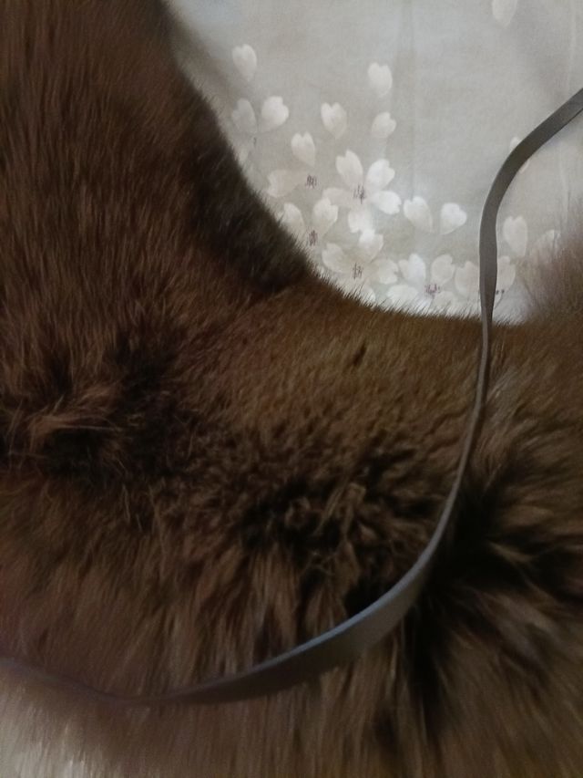 Collo di pelliccia marrone vintage