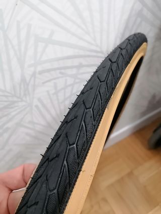 Cubierta Schwalbe Road Cruiser