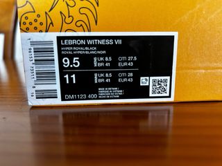 Zapatillas Lebron Witness VII